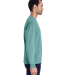 Hanes GDH250 Unisex Garment-Dyed Long-Sleeve T-Shi in Spanish moss