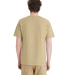 Comfortwash by Hanes GDH11B Unisex Botanical Dye T in Botanical pomegranate rind