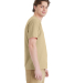 Comfortwash by Hanes GDH11B Unisex Botanical Dye T in Botanical pomegranate rind
