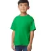 Gildan 65000B Youth Softstyle Midweight T-Shirt Catalog