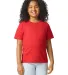 Gildan 67000B Youth Softstyle CVC T-Shirt Catalog