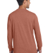 Next Level Apparel 6211 Unisex CVC Long-Sleeve T-S in Heather redwood