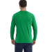Next Level Apparel 6211 Unisex CVC Long-Sleeve T-S in Kelly green