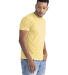 Next Level Apparel 3600SW Unisex Soft Wash T-Shirt in Washed banana cream