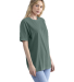 Next Level Apparel 3600SW Unisex Soft Wash T-Shirt in Washed royal pine