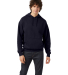 Champion Clothing CD450 Unisex Garment Dyed Hooded in Navy