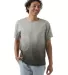 Champion Clothing CD100D Unisex Classic Jersey Dip Dye T-Shirt Catalog