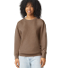 Comfort Colors 1466 Unisex Lighweight Cotton Crewn in Espresso