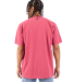 Shaka Wear SHGD Garment-Dyed Crewneck T-Shirt in Clay red