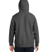 Team 365 TT97 Unisex Zone HydroSport™  Heavyweig in Dark grey heather