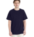 Hanes 5280T Men's Tall Essential-T T-Shirt in Athletic navy