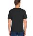 Harriton M118 Charge Snag And Soil Protect Unisex  in Black