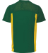Augusta Sportswear 265 Youth Reversible Flag Footb in Dark green/ gold