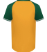 Augusta Sportswear 6905 Men's Cutter Henley Jersey in Gold/ dark green
