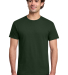 Gildan 3000 Unisex Light Cotton T-Shirt in Forest green