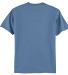 Hanes 5250 Unisex Authentic T-Shirt in Denim blue