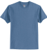 Hanes 5250 Unisex Authentic T-Shirt in Denim blue