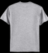 Hanes 5250 Unisex Authentic T-Shirt in Light steel
