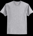 Hanes 5250 Unisex Authentic T-Shirt in Light steel