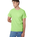 Hanes 5250 Unisex Authentic T-Shirt in Lime