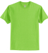 Hanes 5250 Unisex Authentic T-Shirt in Lime