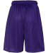 Russell Athletic 659AFM Men's 9" Dri-Power® Trico in Purple