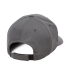 Yupoong-Flex Fit 110C 110® Pro-Formance® Cap in Grey