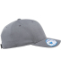 Yupoong-Flex Fit 110C 110® Pro-Formance® Cap in Grey