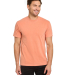 Threadfast Apparel C1200 Unisex Colors Garment-Dye in Clay