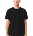 Bella + Canvas 4810GD Unisex Heavyweight Garment-D in Black