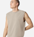 American Apparel 207GD Unisex Heavyweight Cotton G in Faded bone