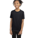 Next Level Apparel 6310 Youth Triblend T-Shirt in Vintage turquoise
