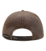 DRI DUCK 3336 Lab Nature Scene Cap in Dark brown