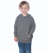 Independent Trading Company PRM10TSB Toddler Special Blend Hooded Raglan Sweatshirt Catalog
