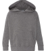 Independent Trading Company PRM10TSB Toddler Speci in Nickel