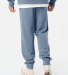 Independent Trading Company PRM50PTPD Unisex Pigme in Pigment slate blue