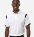Badger Sportswear 3350 Unisex On the Rise Polo Catalog