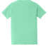 6030 Comfort Colors - Pigment-Dyed Short Sleeve Sh in Island reef