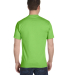 G800 Gildan Ultra Blend 50/50 T-shirt in Lime