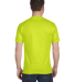 G800 Gildan Ultra Blend 50/50 T-shirt in Safety green