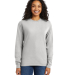 5286 Hanes® Heavyweight Long Sleeve T-shirt in Ash
