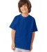 5450 Hanes Authentic Tagless Youth T-shirt in Deep royal