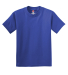 5450 Hanes Authentic Tagless Youth T-shirt in Deep royal