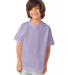5450 Hanes Authentic Tagless Youth T-shirt in Lavender