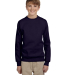 P360 Hanes® PrintPro®XP™ Comfortblend® Youth  in Navy