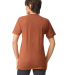 American Apparel TR401 Unisex Tri-Blend Track Tee in Tri-rust