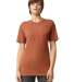 American Apparel TR401 Unisex Tri-Blend Track Tee in Tri-rust