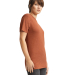 American Apparel TR401 Unisex Tri-Blend Track Tee in Tri-rust