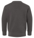 3317 Rabbit Skins Toddler/Juvenile Crew Neck Sweat in Charcoal