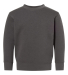 3317 Rabbit Skins Toddler/Juvenile Crew Neck Sweat in Charcoal